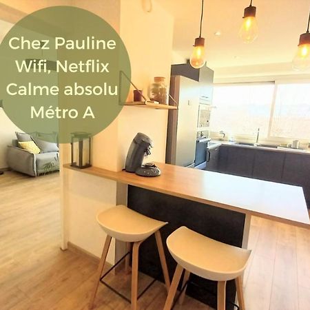 Magnifique Cocon - Metro A Republique - 2 Belles Chambres Avec Dressings - Wifi Gratuit - Netflix - Au Calme Absolu - Lumineux - Jardin Arbore Partage Dans La Residence Вийёрбан Экстерьер фото